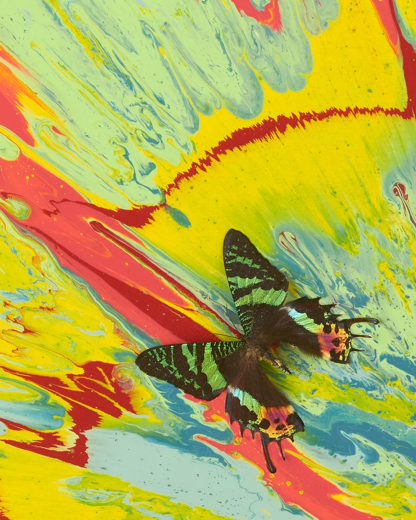 Beautiful Nature Will Heal You Painting (with Butterflies) 3