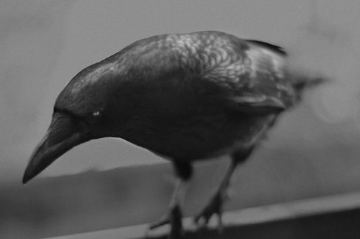 IBASHO : Shimpei Yamagami : Epiphany