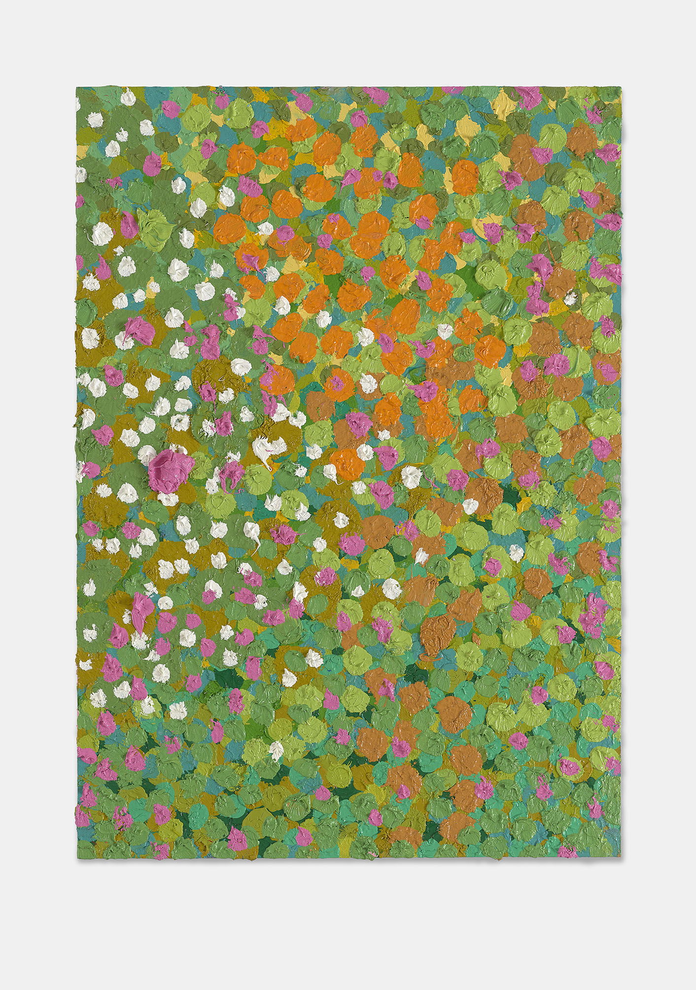 Knowledgeable Veil 1 main image