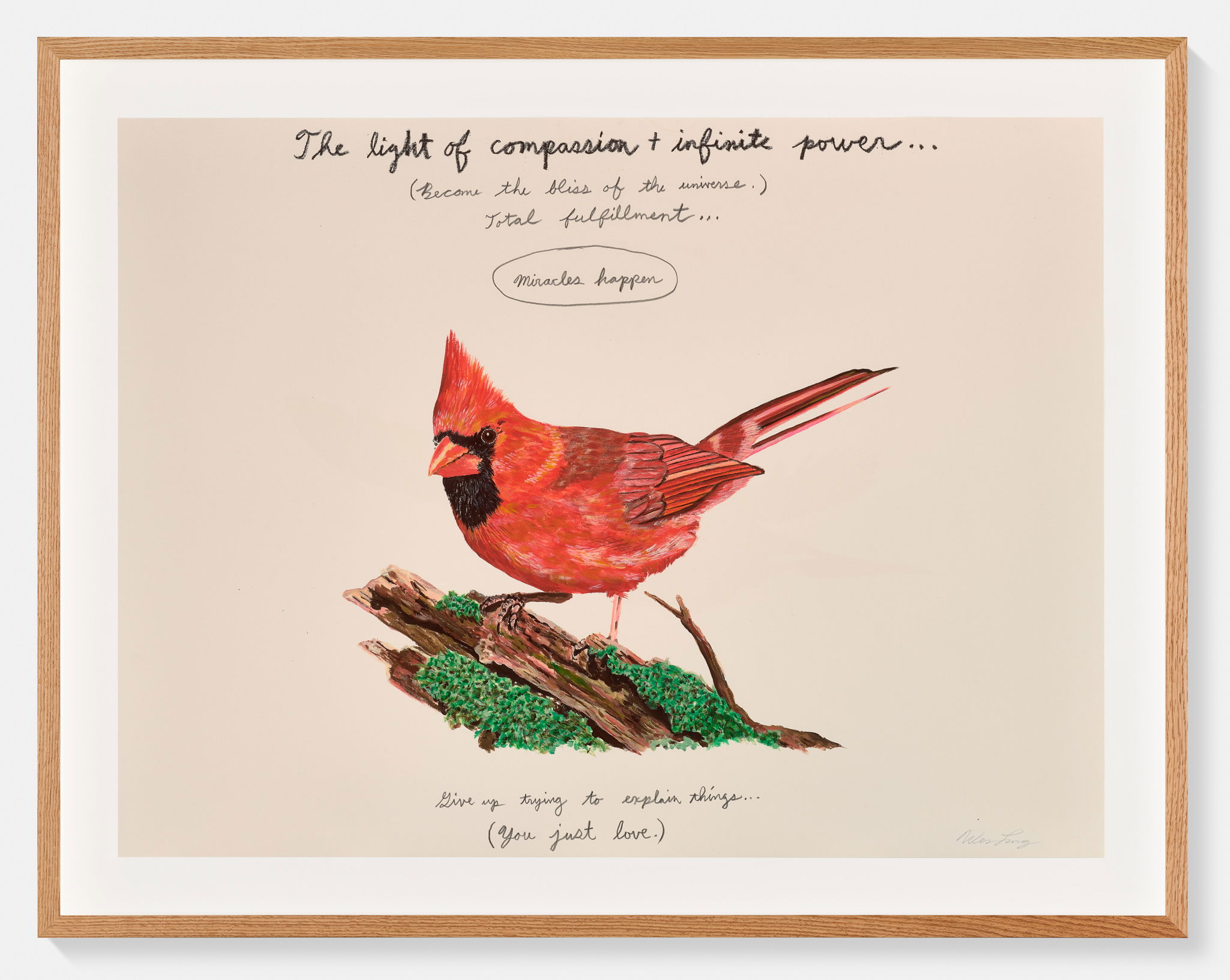 The light of compassion + infinite power… image #1 main image