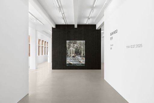 Sun Woo at Gallery Vacancy, Shanghai