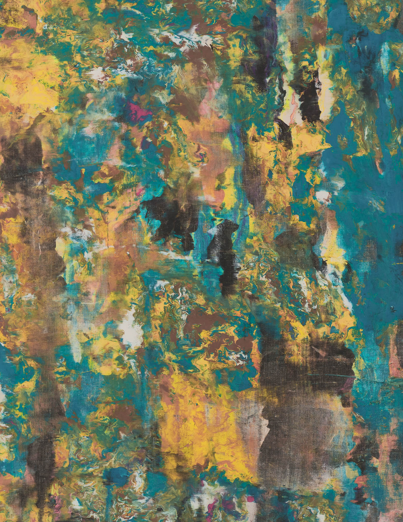 Proteus XIV image #3