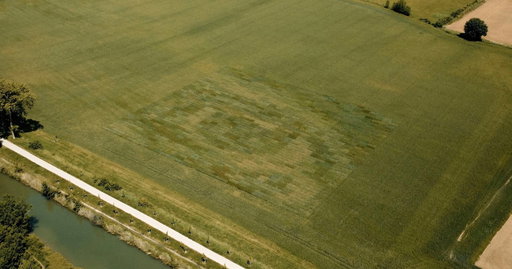 Artist Farms World’s Largest Living Photograph That’s Visible Only From the Sky