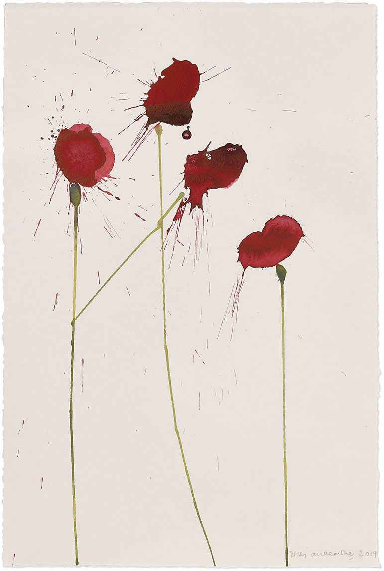 Vesper 229 1 main image