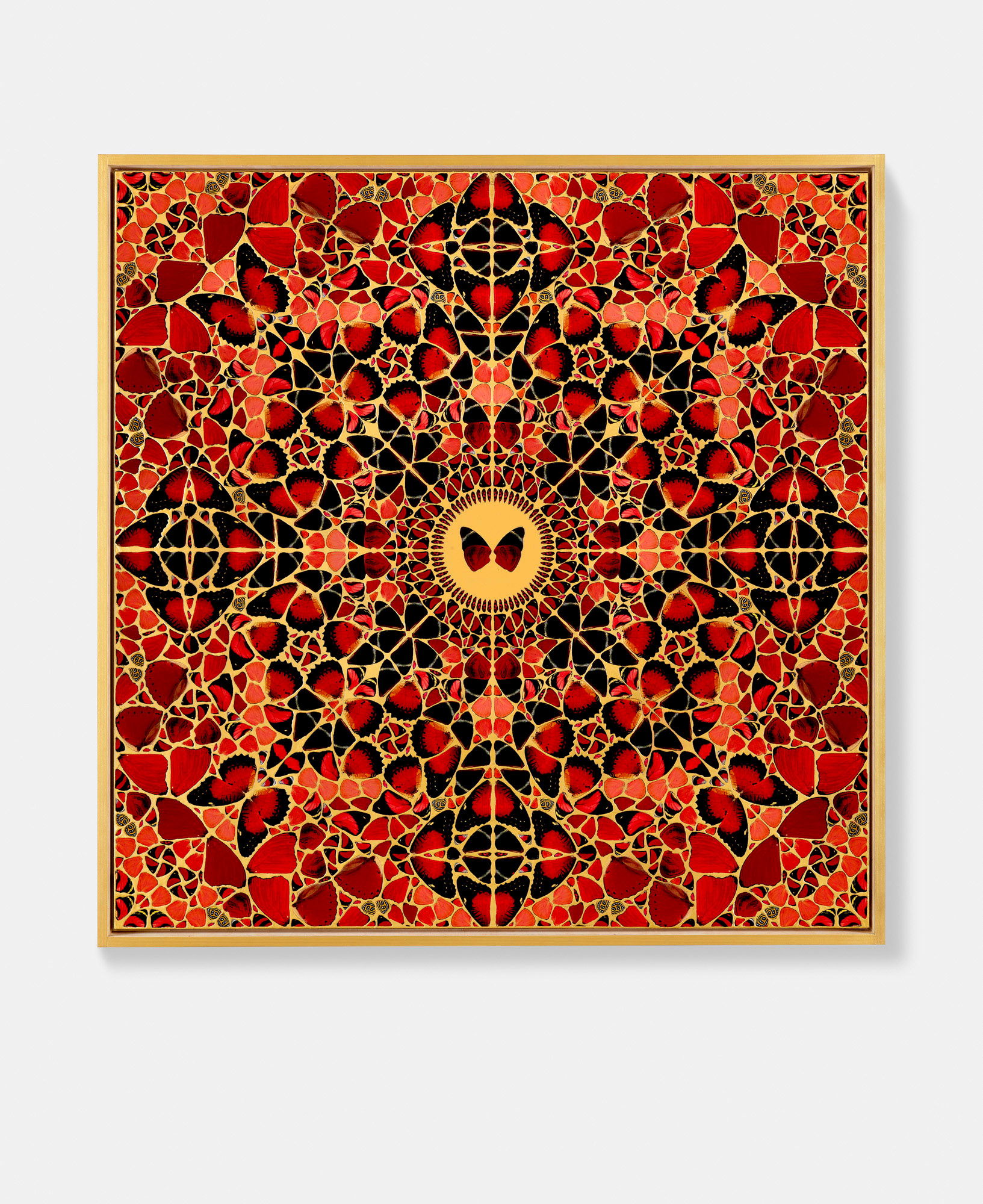 Annia Galeria Faustina 1 main image