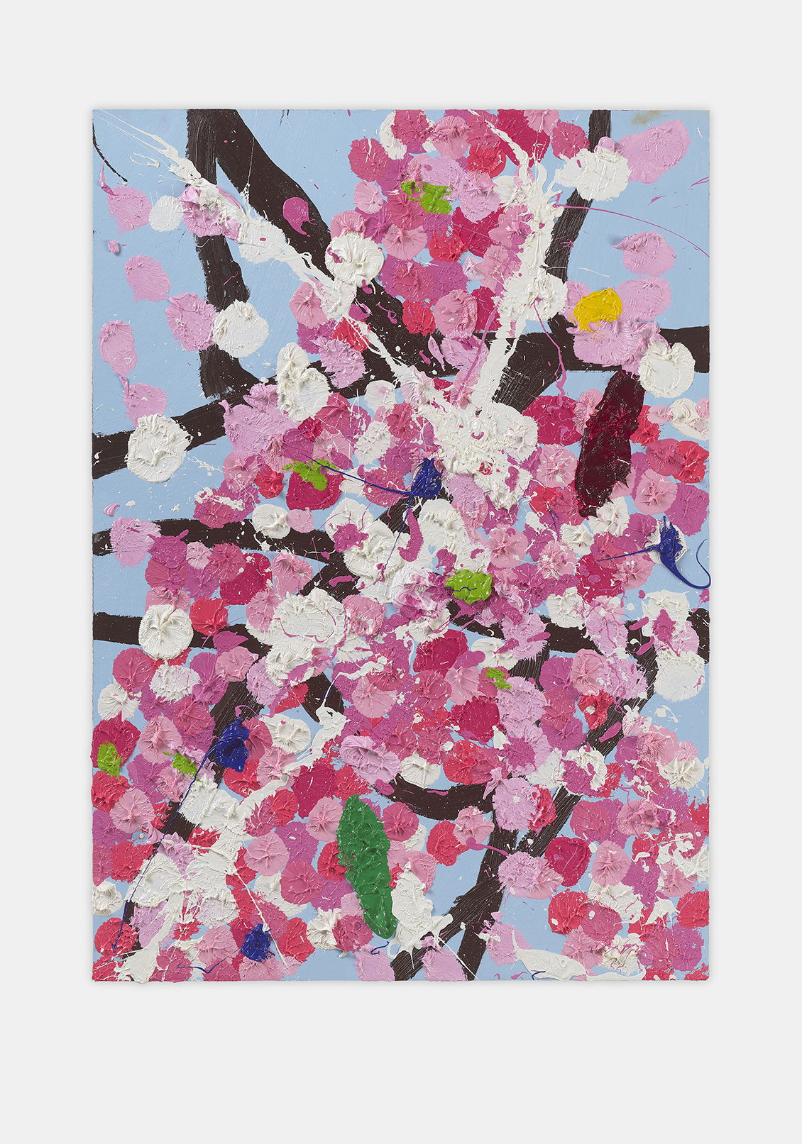 Robust Blossom 1 main image