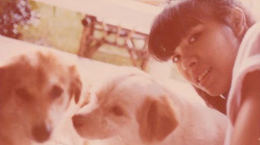 Asia Art Archive marks 25th year