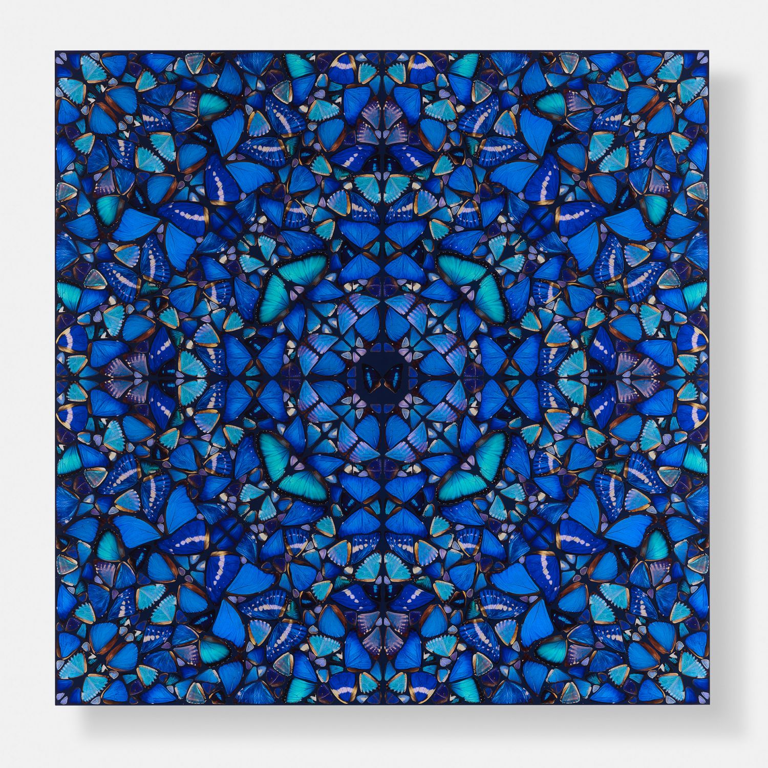 Patience image #1 main image