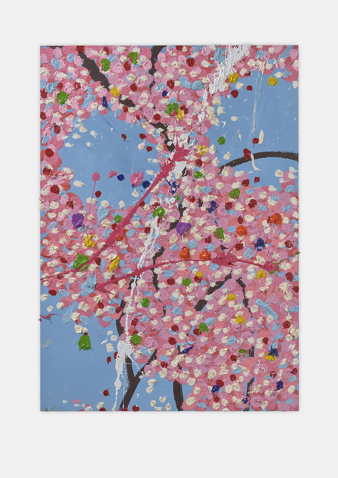 Exploring Blossom 1 main image