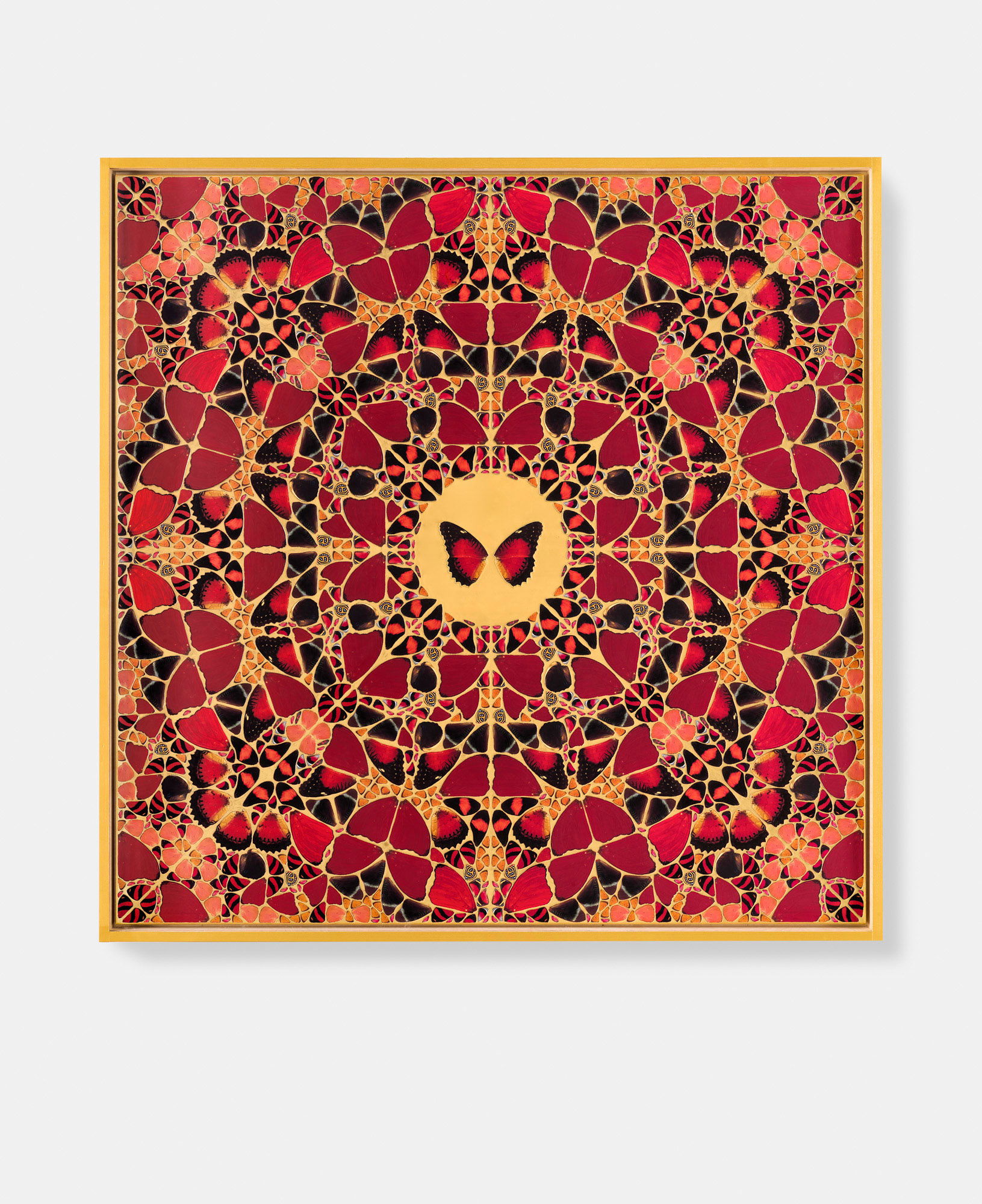 Gaohou / Nambui / Lucilla / Jeguk / Anna 4