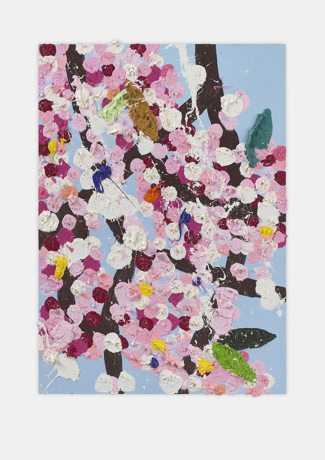 Starmaker Blossom 1 main image