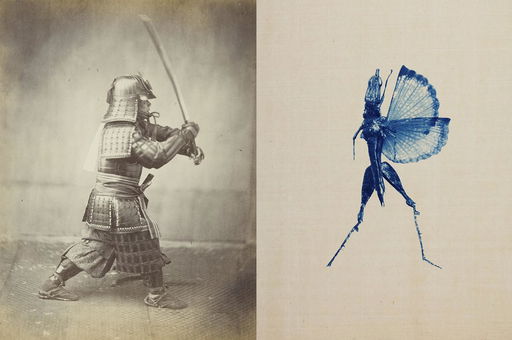 The National Maritime Museum : Ekō – Japan in two visual narratives