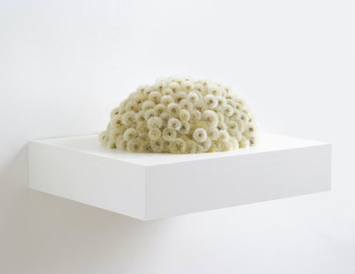 Her great-uncle was Jackson Pollock. Now her fledgling gallery, Argo Fine Arts, is the talk of Paris