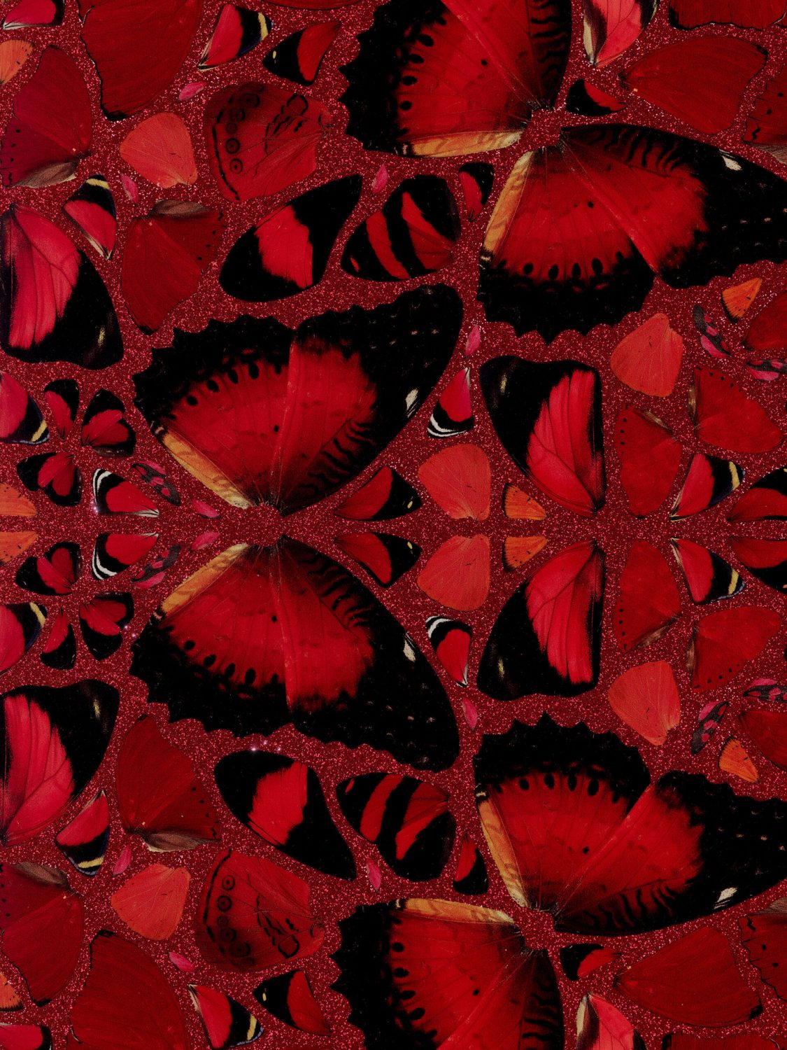 Nūr Jahān image #5