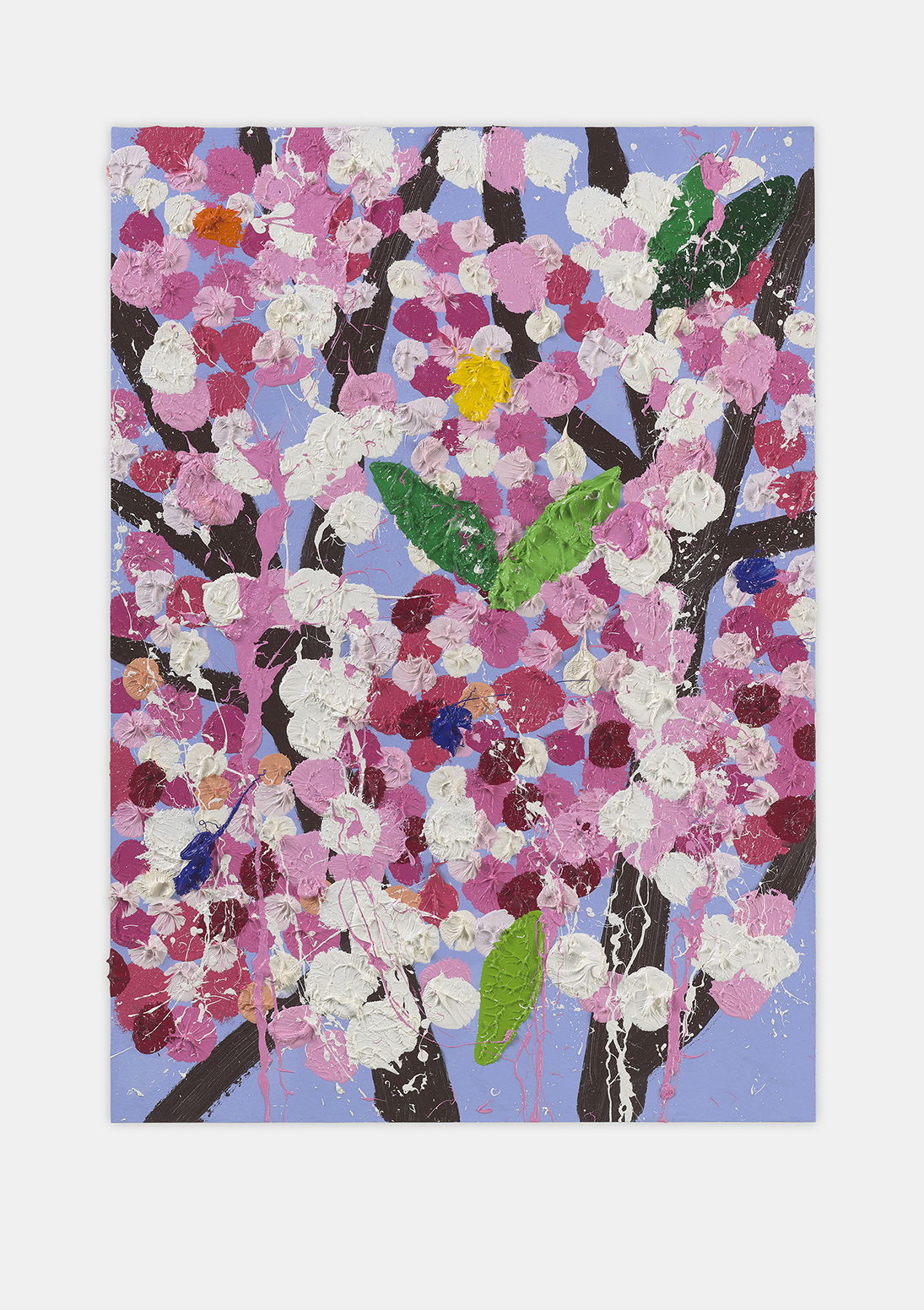 Favourable Blossom 1 main image