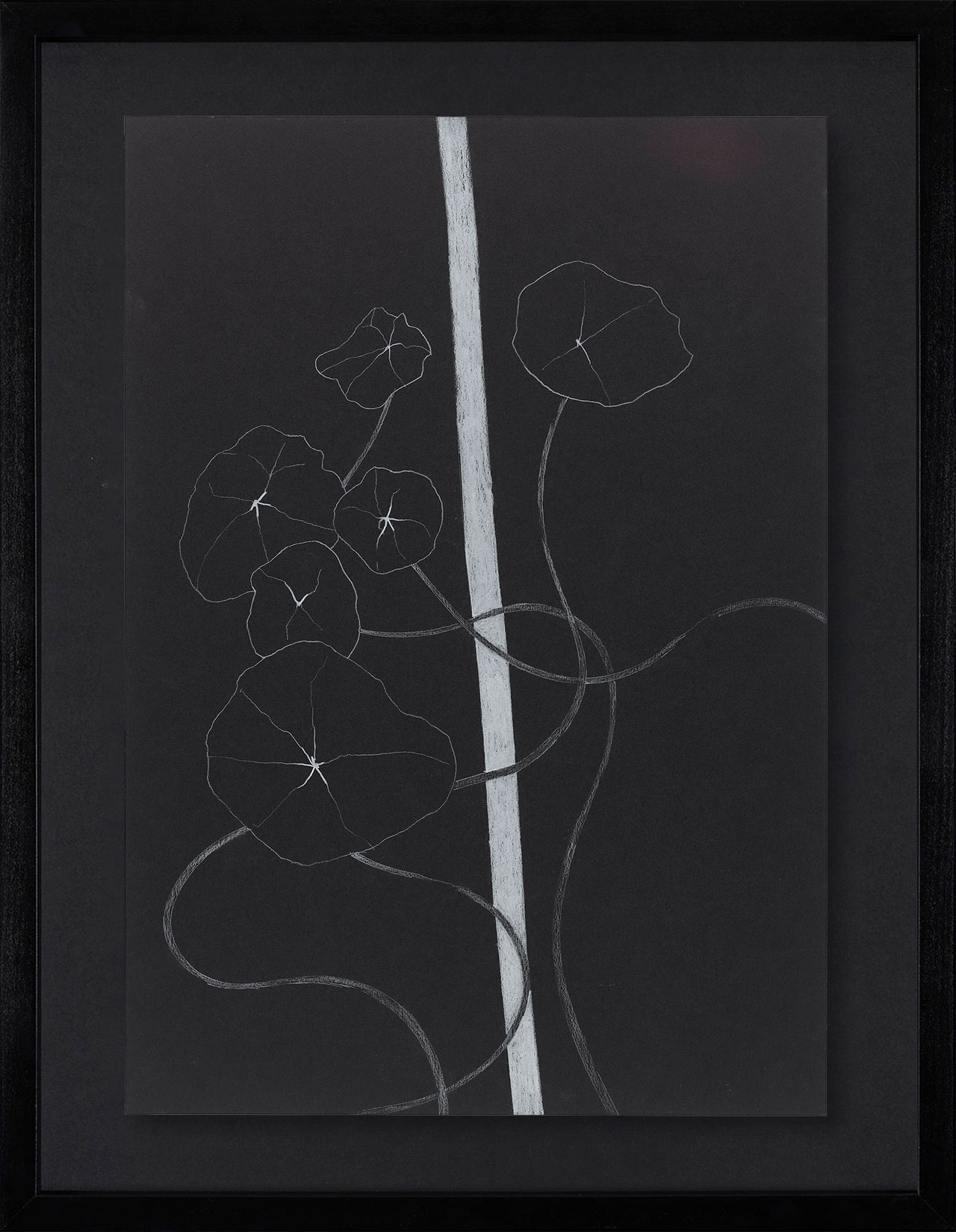 Peel Cottage Garden  1 main image