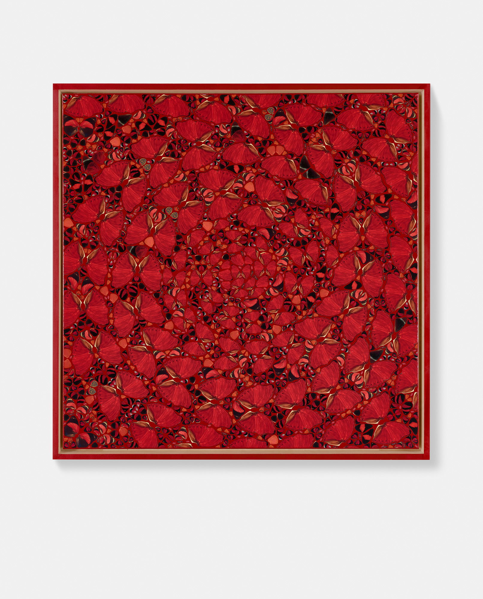 Parysatis / Atossa / Genmei / Victoria / Carlota 6