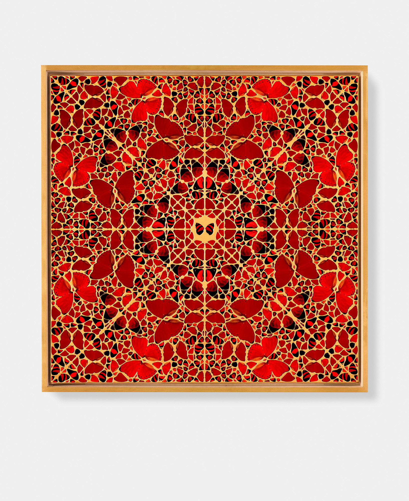 Gisela / Sugabala / Meishō / Zenobia / Danashri 6