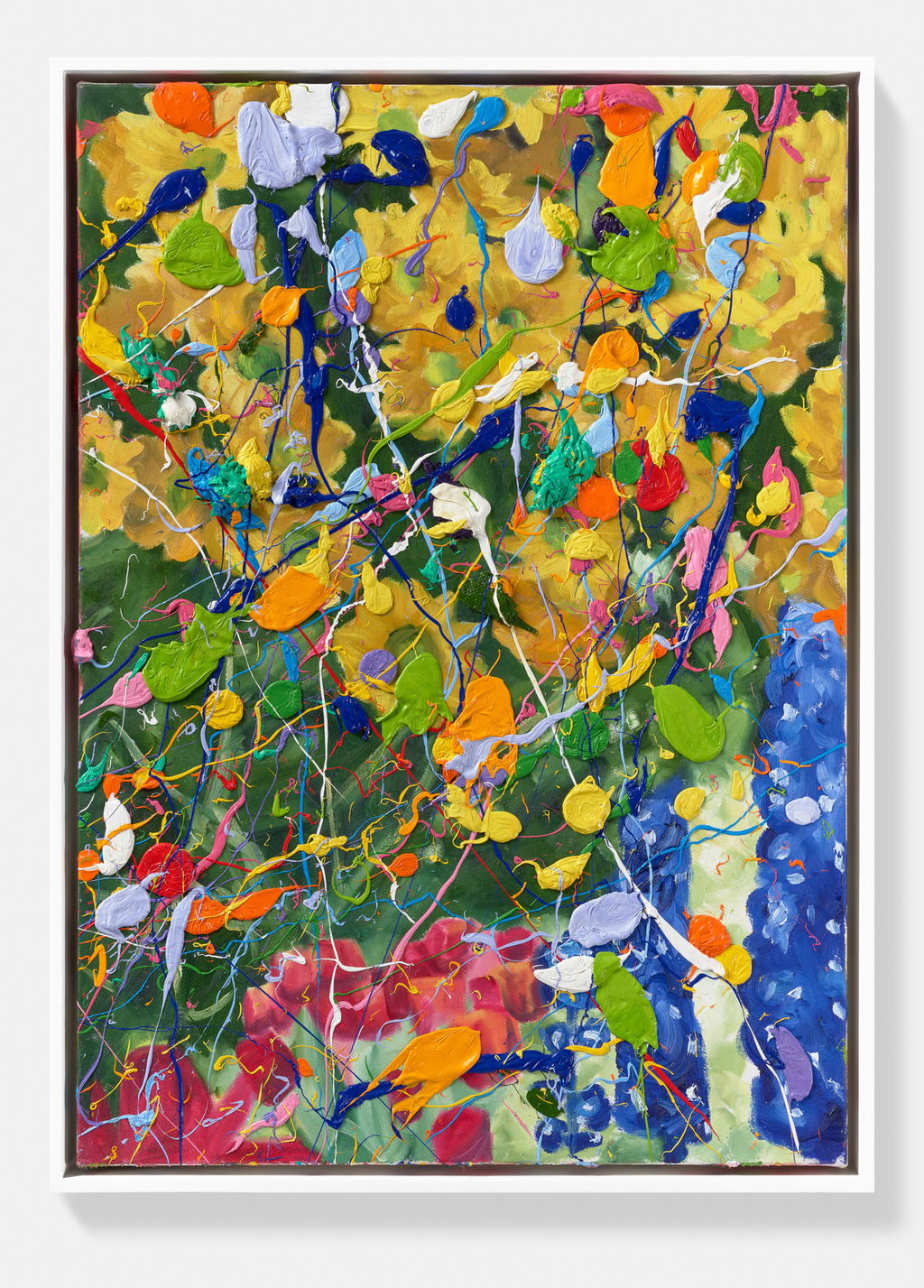 Multicolour Burst Hidden Garden 1 main image