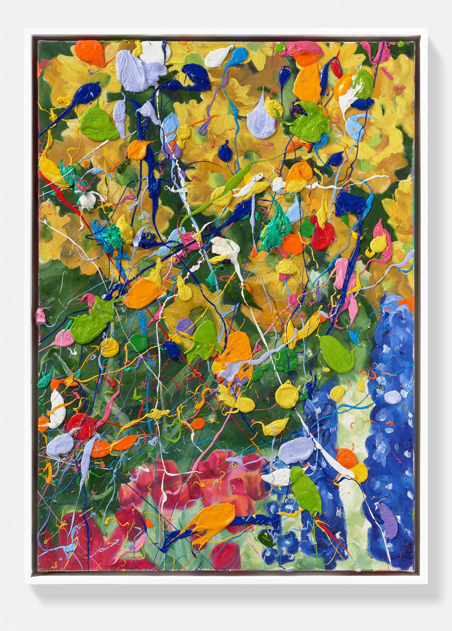 Multicolour Burst Hidden Garden 1 main image