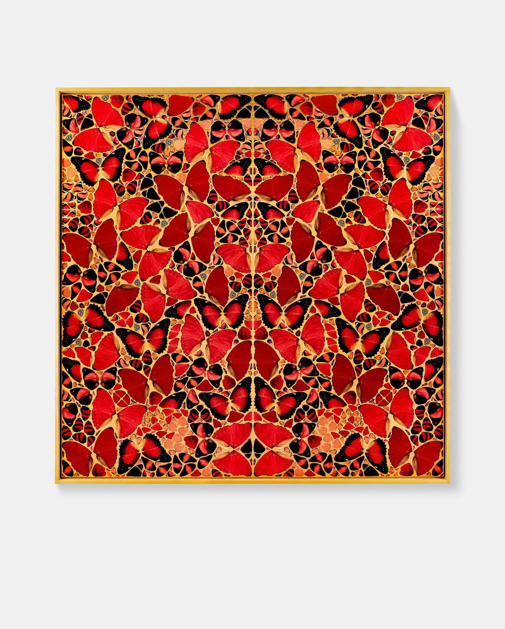 Daliyetemishi 1 main image