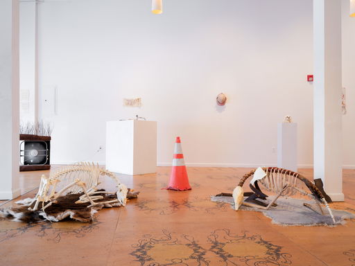 Refuse, Roadkill, and Bodily Relics Survive in “Aftermath”