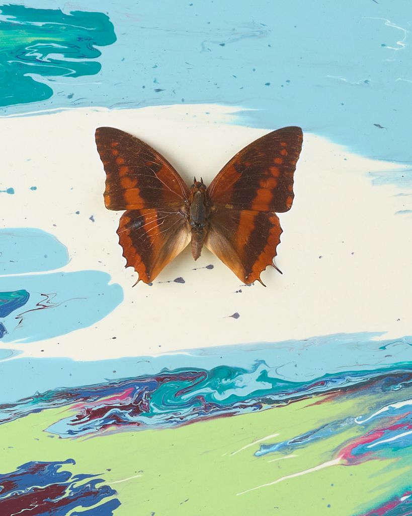 Beautiful Electric Razzle Dazzle Painting (with Butterflies) 3