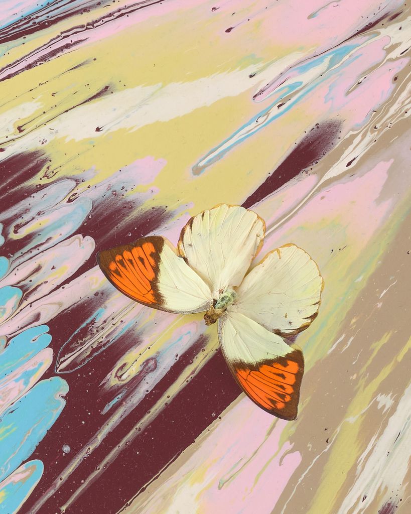 Beautiful Temple of Love Painting (with Butterflies) 3