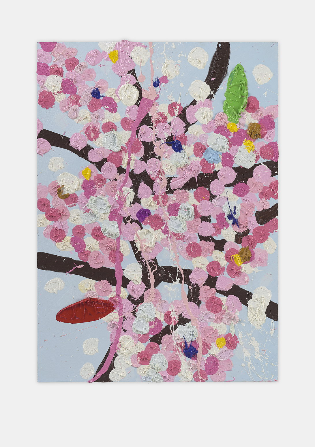 Articulate Blossom 1 main image
