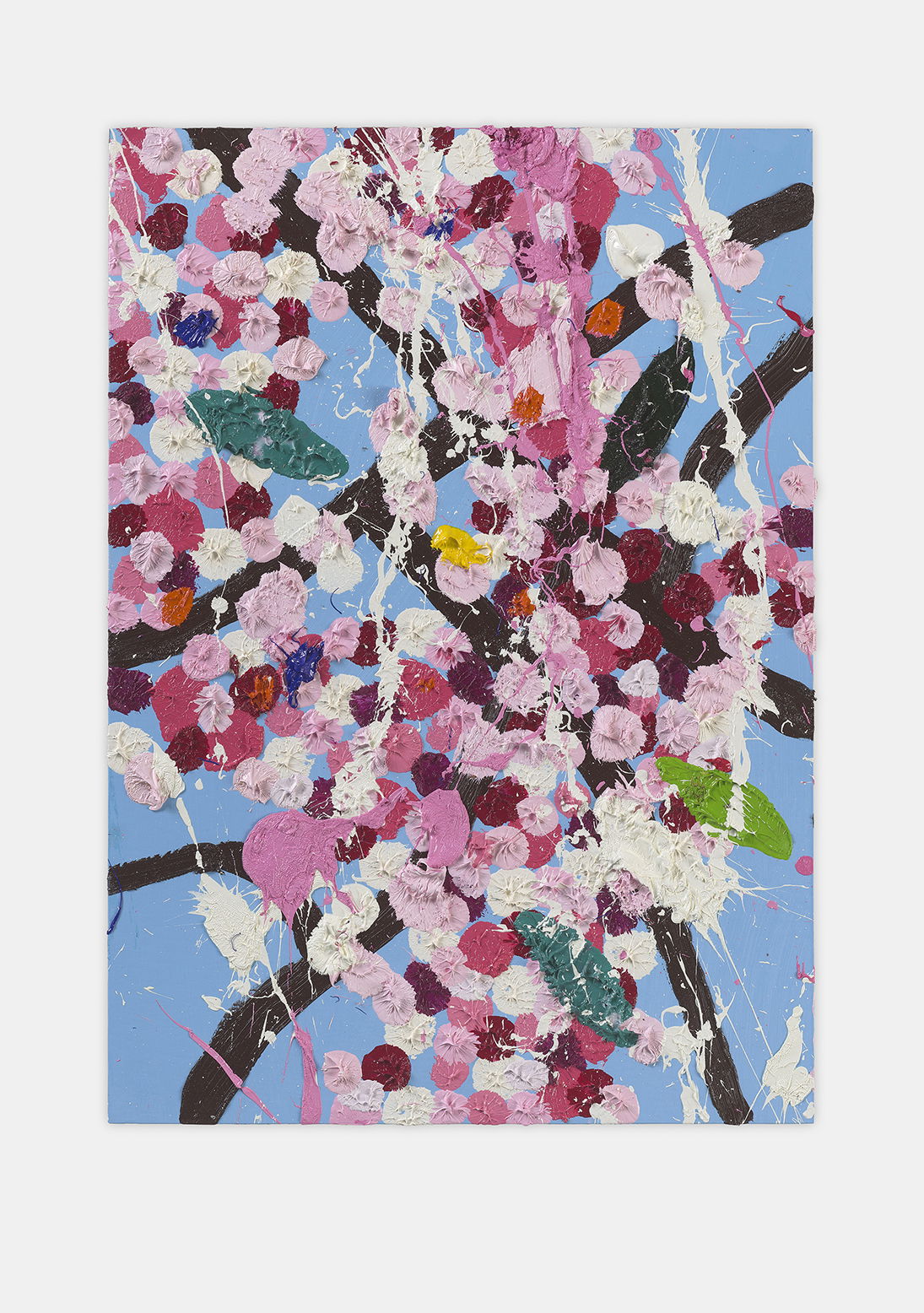 Starstruck Blossom 1 main image