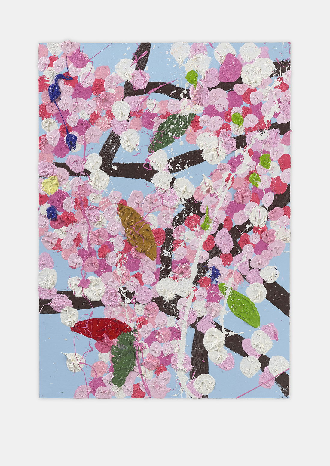 Acclaimed Blossom 1 main image