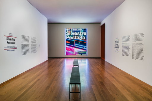 Silvestre Pestana at Galeria Municipal do Porto