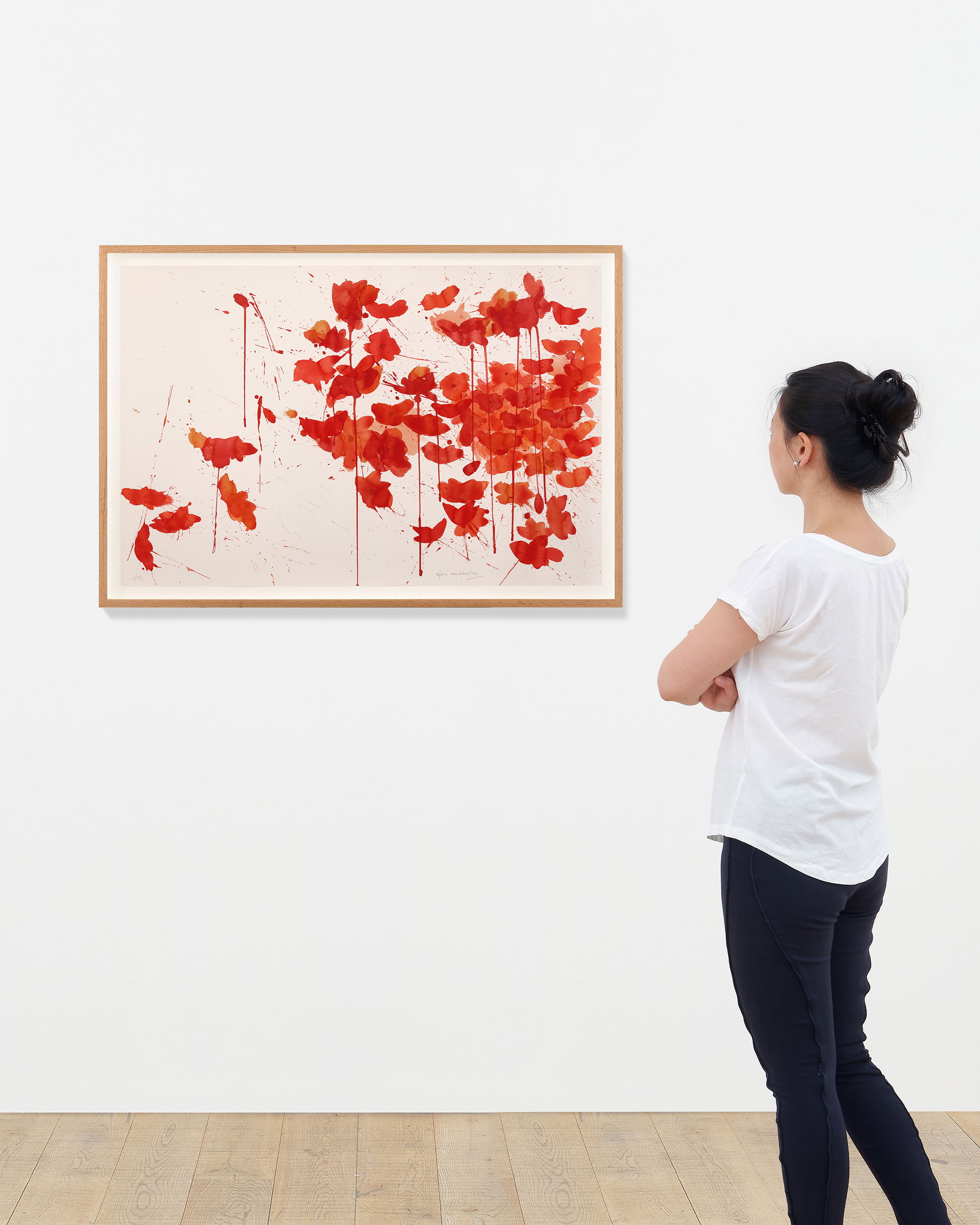 Vibrancy and Grace scale image