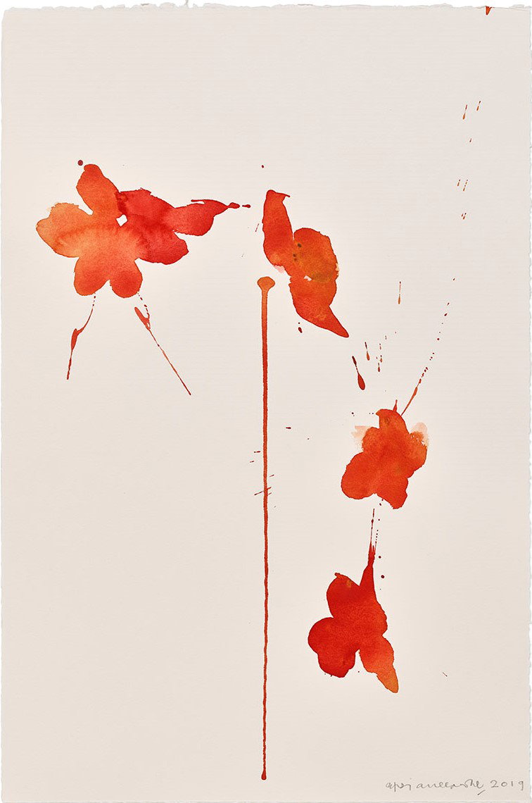 Vesper 212 1 main image