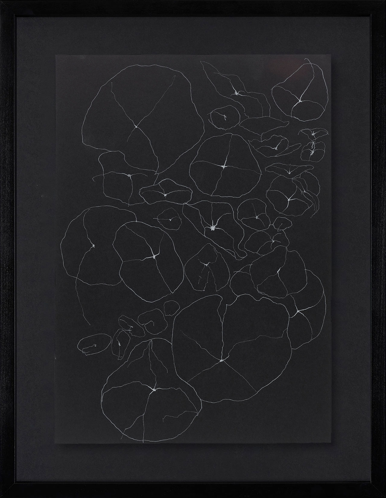 Peel Cottage Garden  1 main image