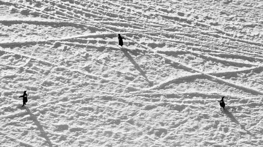 On Thick Ice: Australian Art created in Antarctica