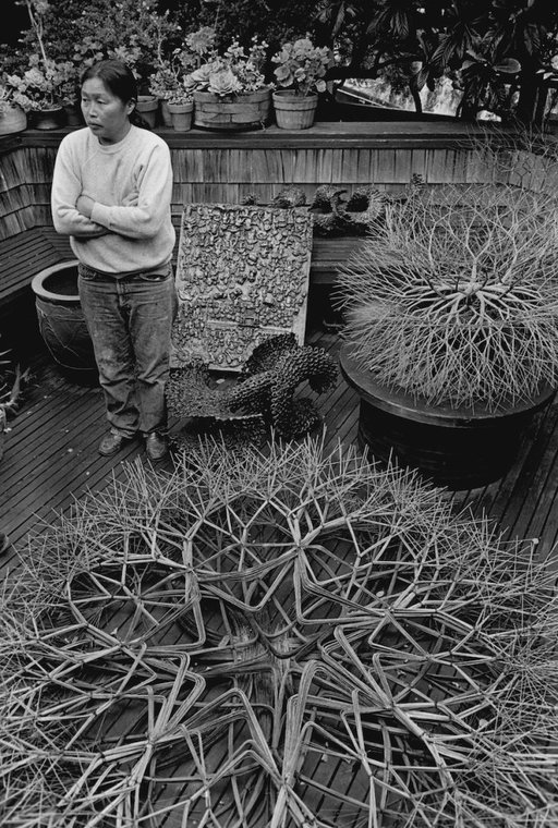 Gallery Dedicated to Sculptor Ruth Asawa Will Open in San Francisco