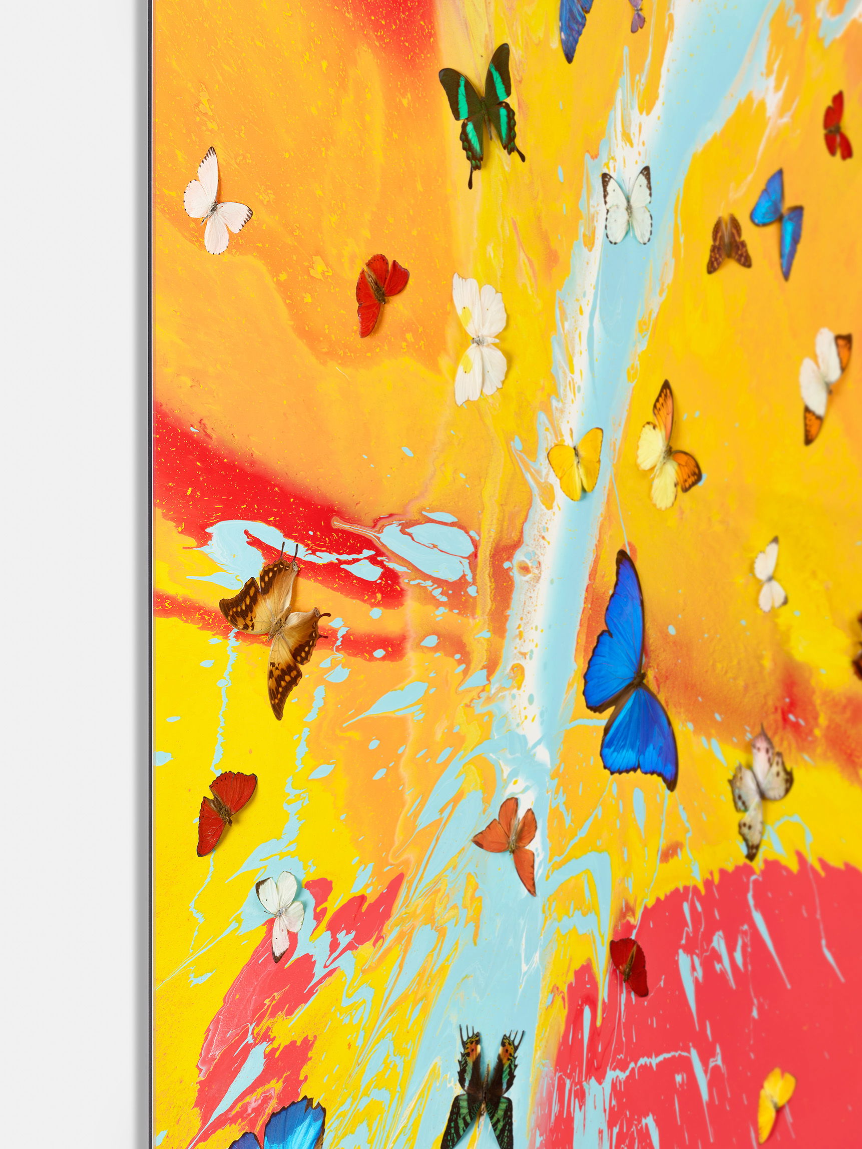 Aurora Dawn image #4