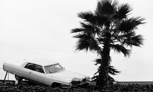 Made in LA biennial contemplates wildfires and immigrant arrests