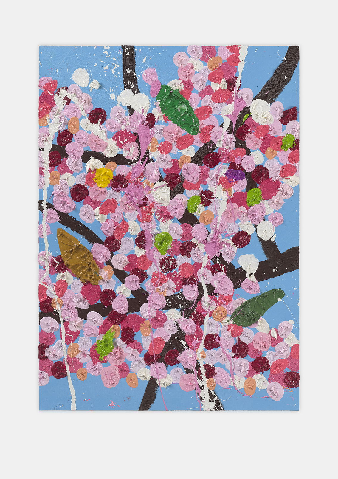 Dedicated Blossom 1 main image