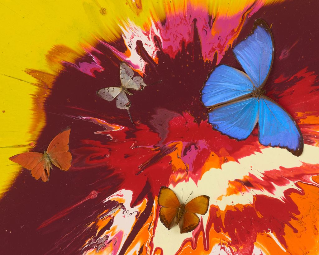 Beautiful Tiger's Eye, Lion's Heart Painting (with Butterflies) 4