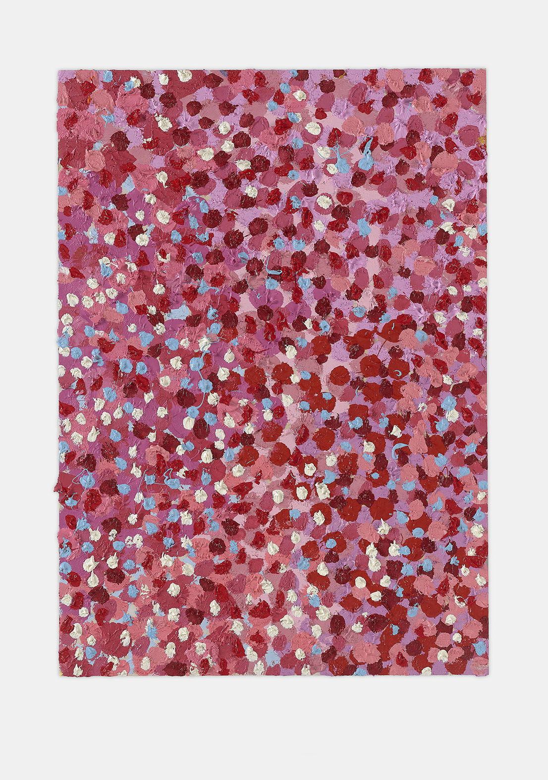 Innovative Veil 1 main image