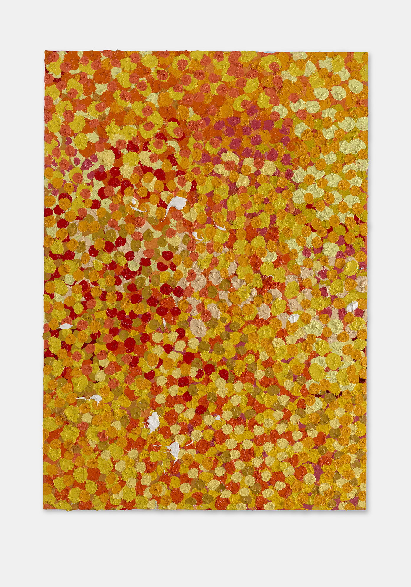 Considerate Veil 1 main image