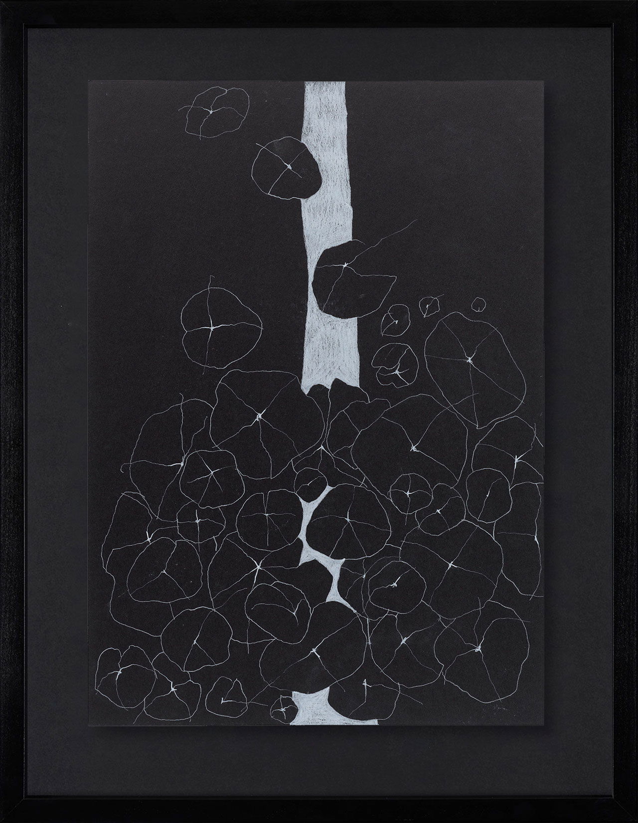 Peel Cottage Garden  1 main image