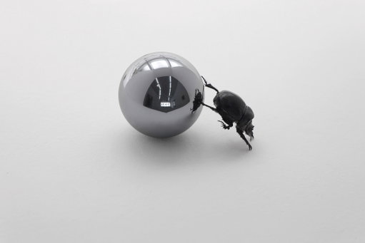 Nicolás Lamas at Meessen Gallery, Brussels