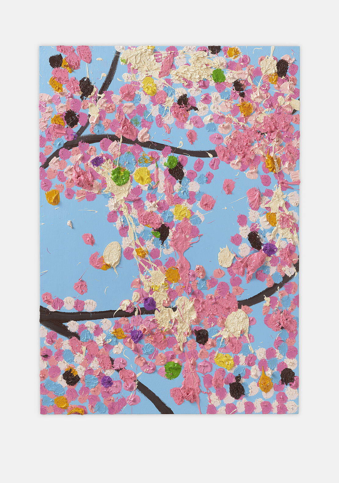 Oracle Blossom 1 main image