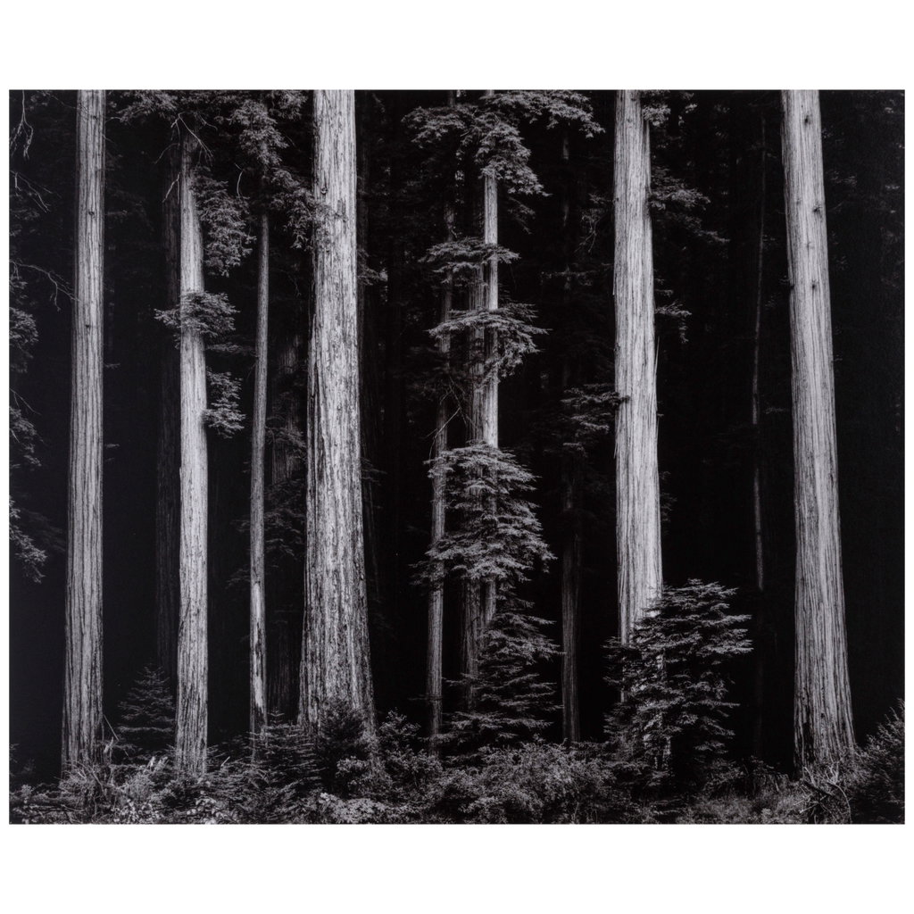 Portfolio IV, What Majestic Word: In Memory of Russell Varian by Ansel Adams sold for $41,000. Image courtesy of Bonhams
