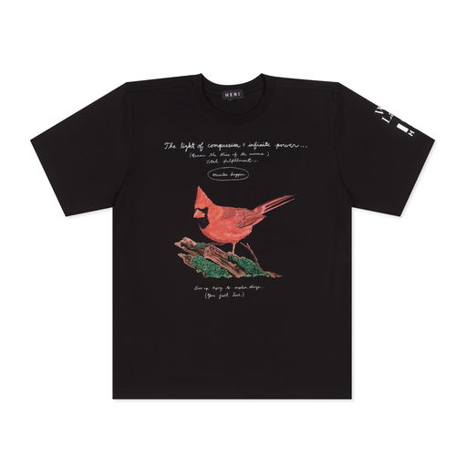 The light of compassion + infinite power T-shirt (black)