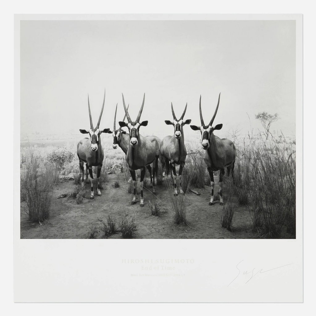 Gemsbok (from the End of Time portfolio) (1980) by Hiroshi Sugimoto sold for $2,560. Image courtesy of Rago