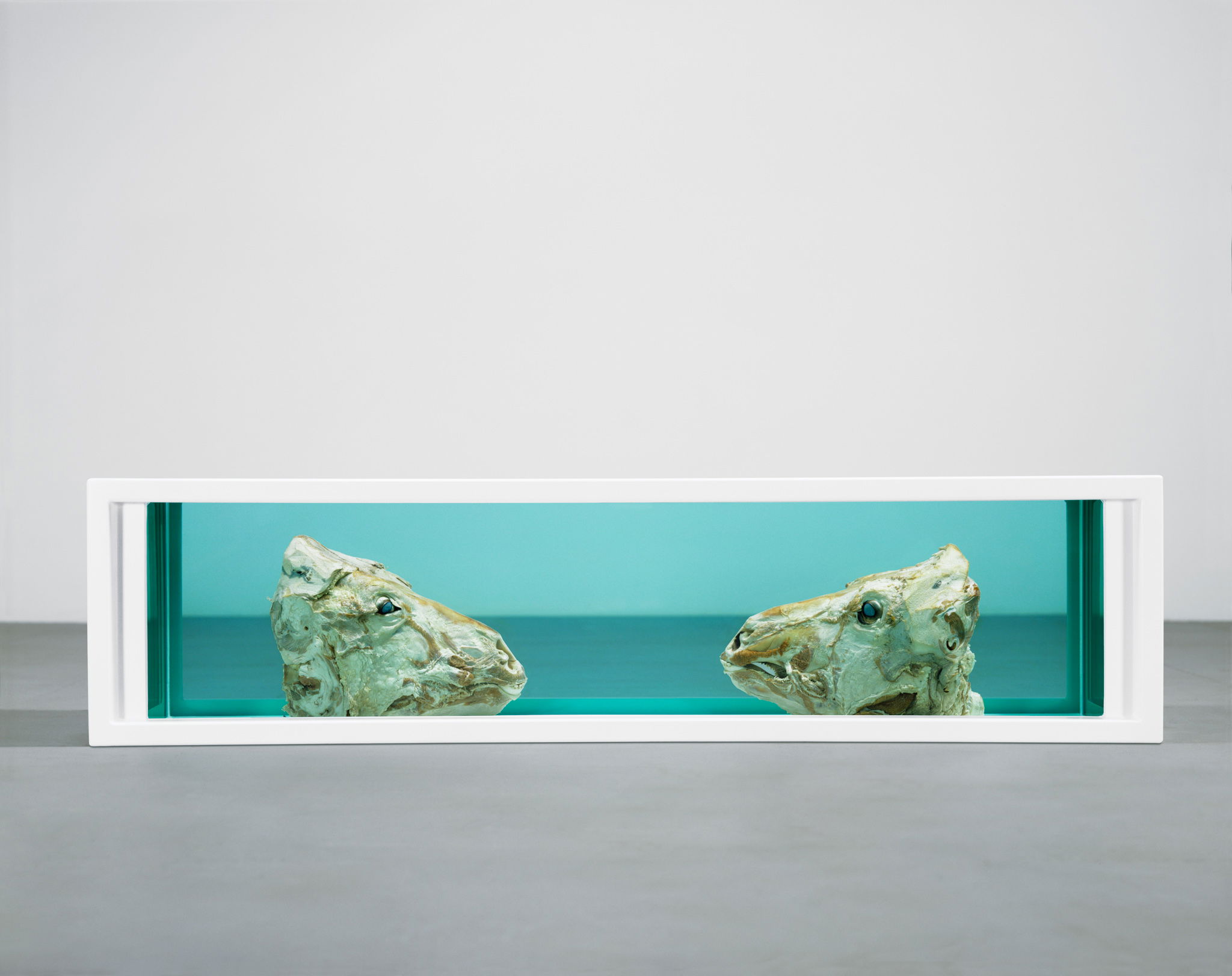 Schizophrenogenesis 1 main image